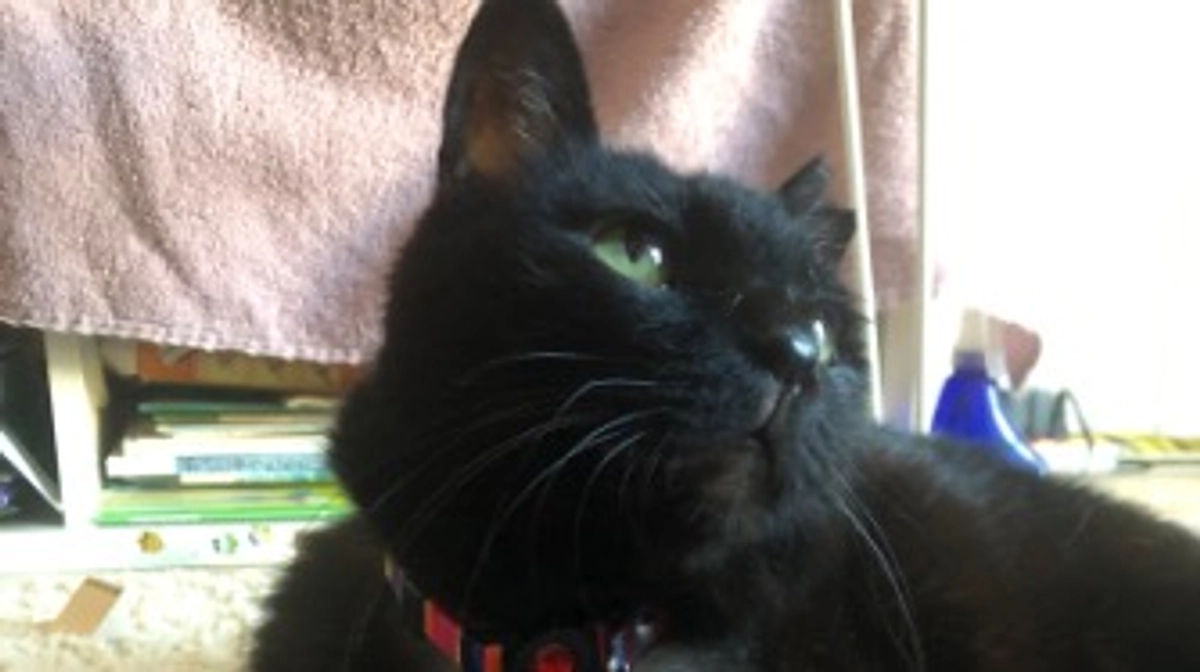 終了まであと4日です！