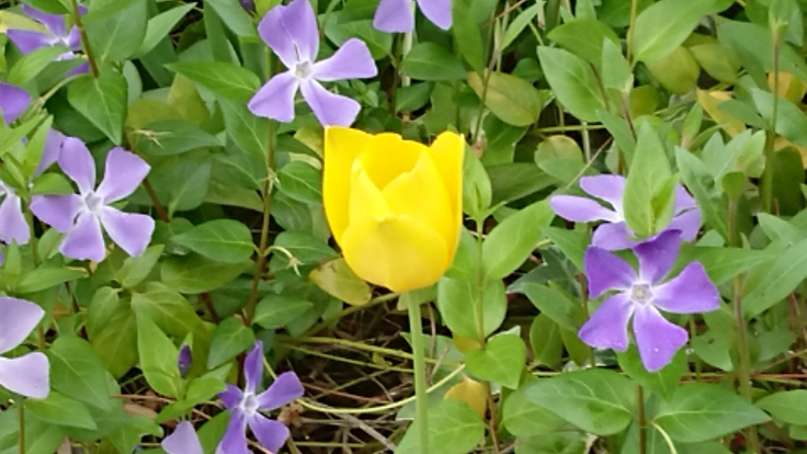 小説「エターナル・ハピネス」の完成度を高め、世に広めたい