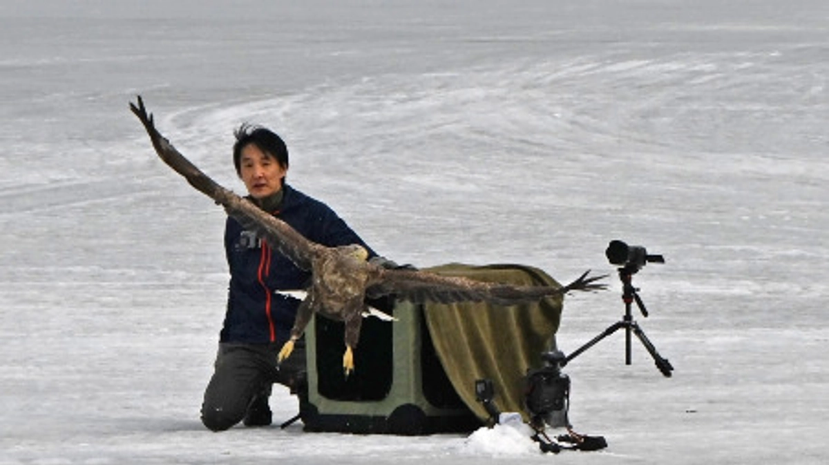 野生に帰す瞬間に思うこと