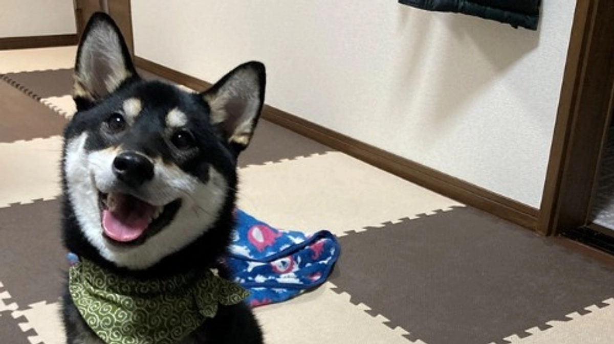 皆様、本当にありがとうございました。