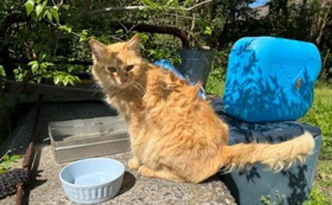 感謝のメールと写真1枚