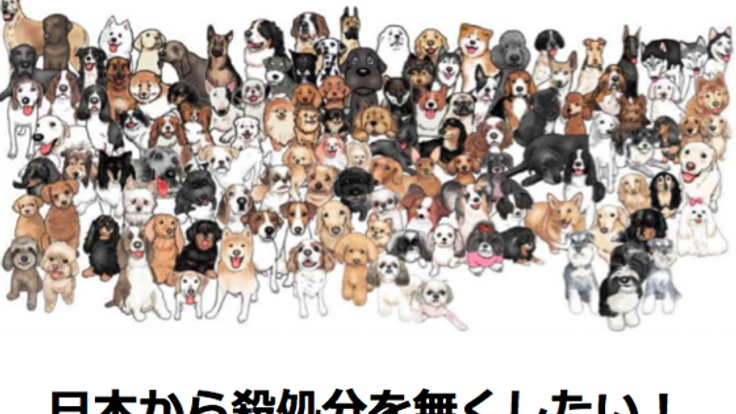 刺繍製品を通して、わんこ達の悲惨な現状を伝えたい！