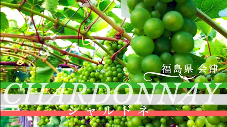 福島 会津盆地が一望できる、ブドウ畑が広がる丘を守りたい!!