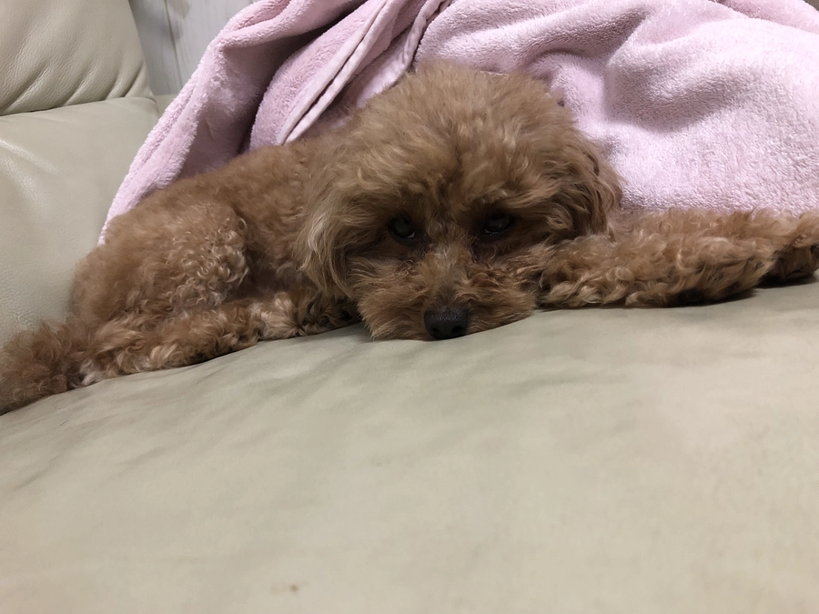 久しぶりに❣️