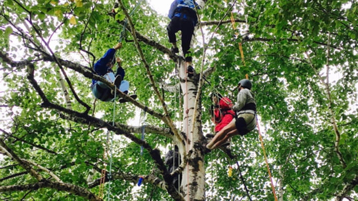 北海道十勝の子どもに本物の木登り（ツリーイング）をしてほしい