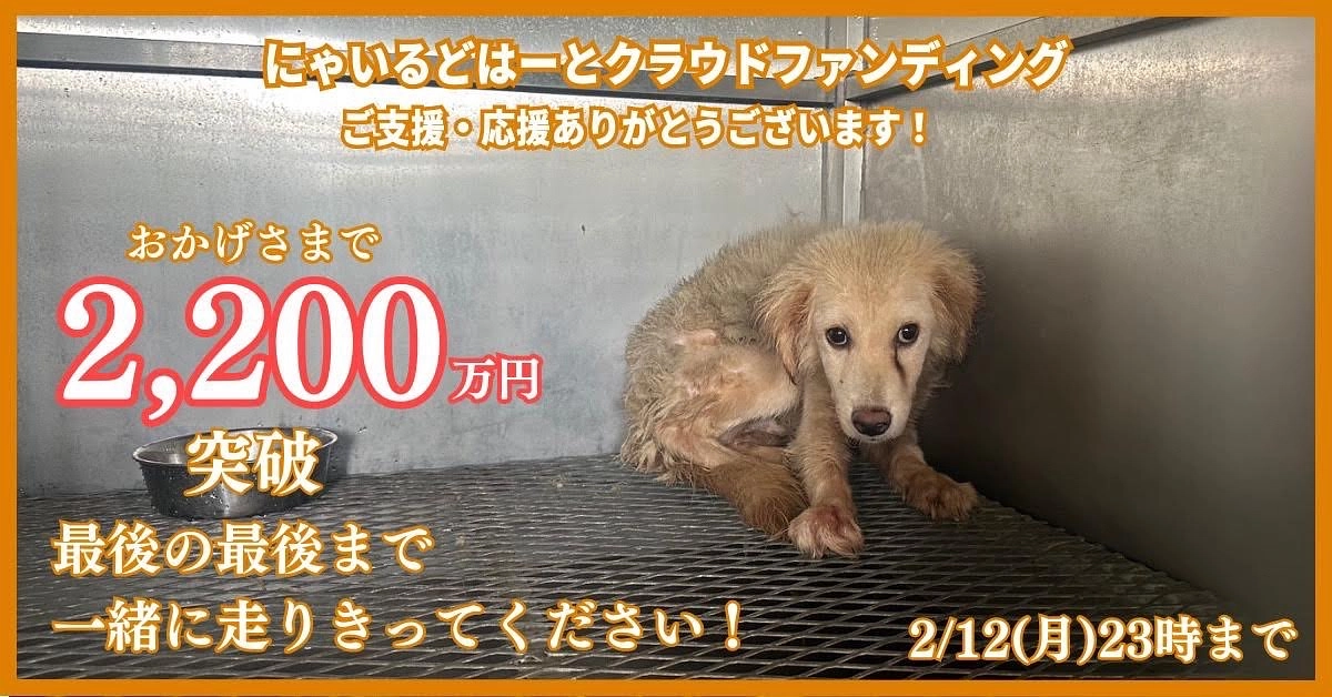 ゴールがスタートだから‼️