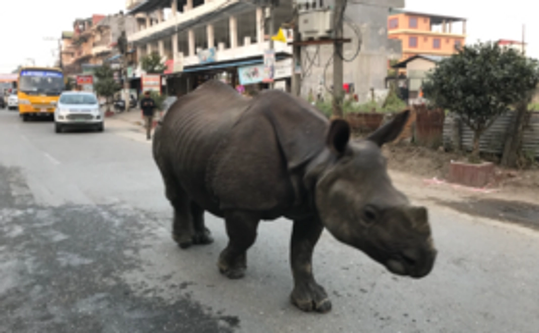 全額活動費に充てさせていただきます