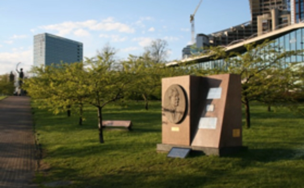 【桜の苗木1本分】苗木にお名前を！