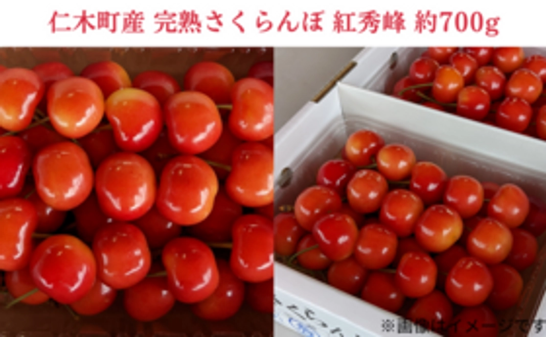 仁木町産 完熟さくらんぼ 紅秀峰(約700g※350g×2パック)