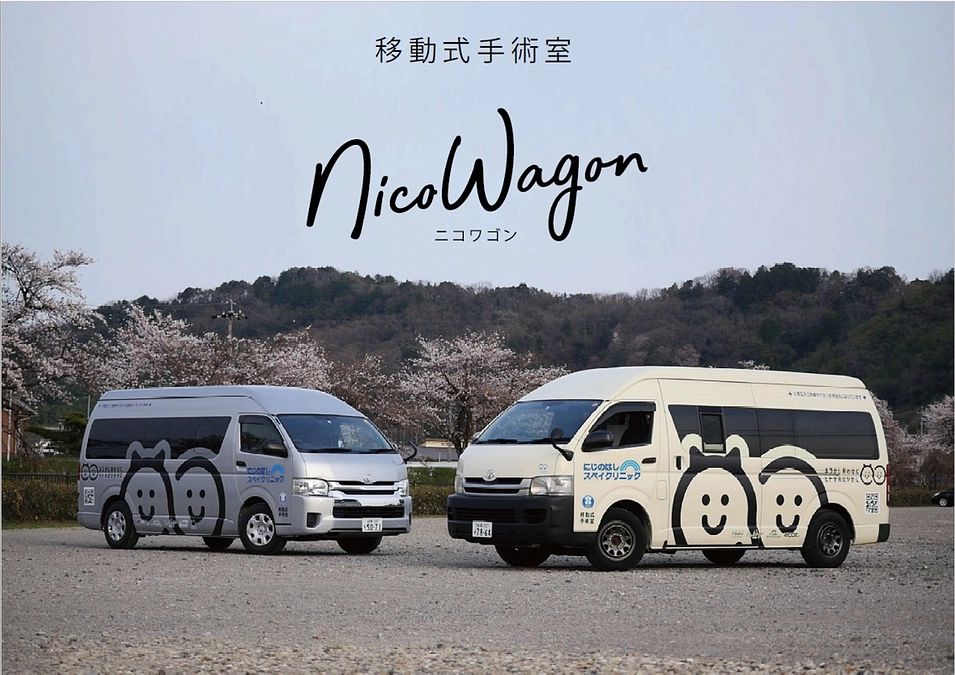 スペイクリニックさんが利尻島に来てくれました‼