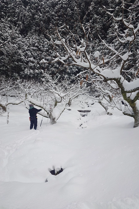 締め切りまで残り21日