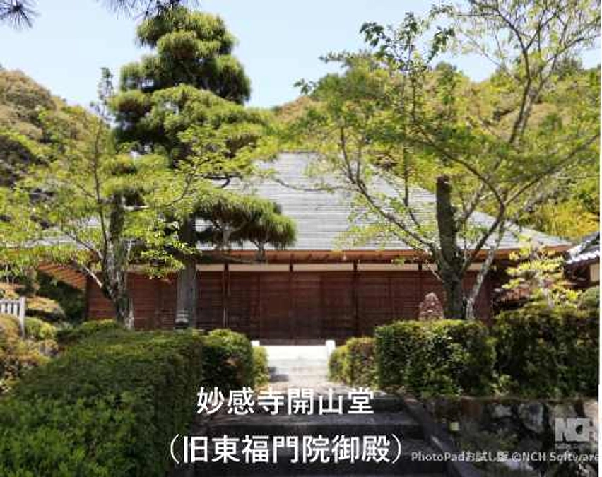 妙感寺のプロジェクト　スタートします！