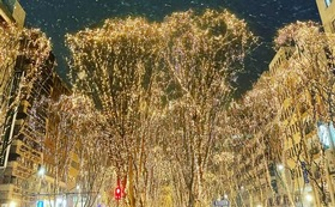 プロジェクト応援プランＢ