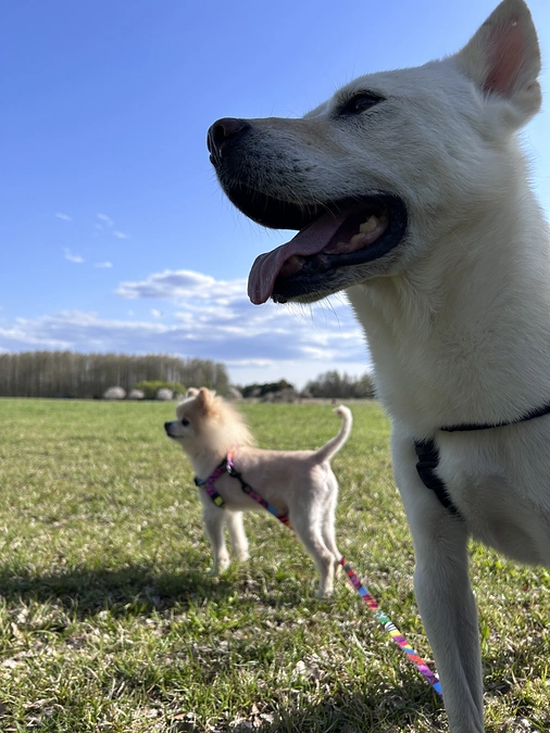 54/59‪ ☆ メタセコイヤの森へ 〜後編〜