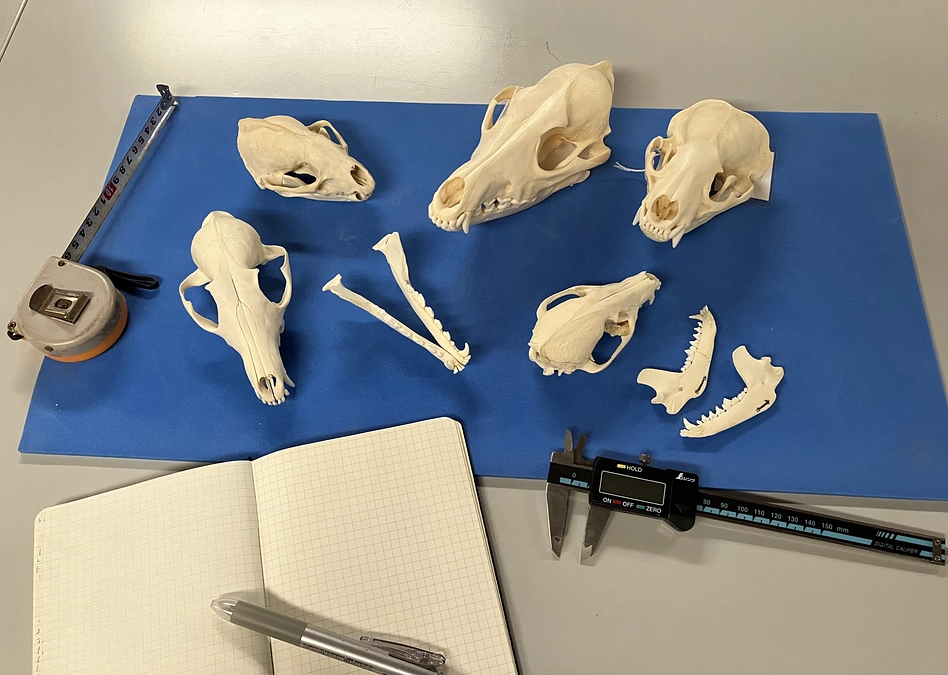 【リターン紹介⑰】スペシャルツアーの紹介⑥