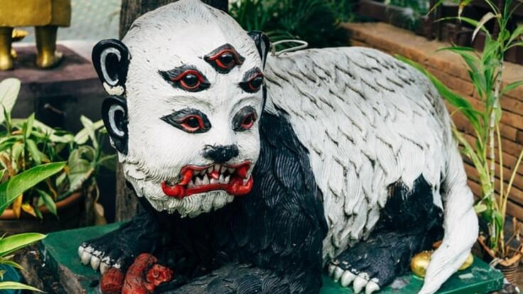 シーフーハータープロジェクト