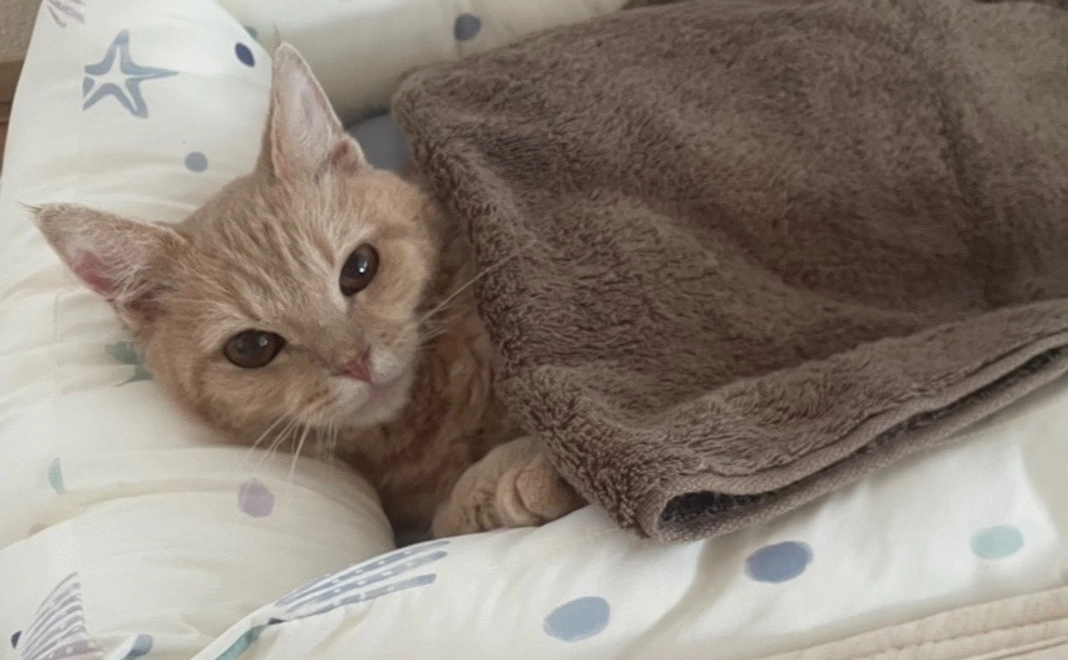 感謝のメール【3】