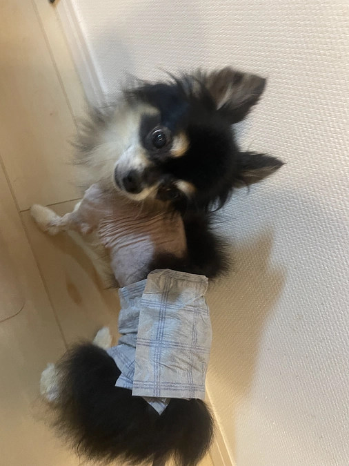 退院しました✨