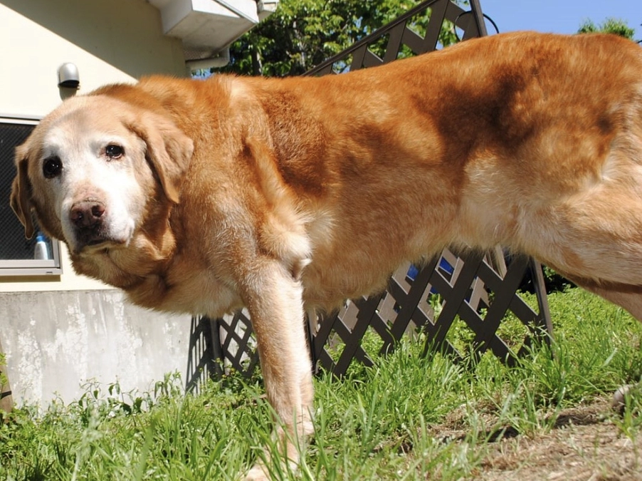 カウントダウン！あと6時間