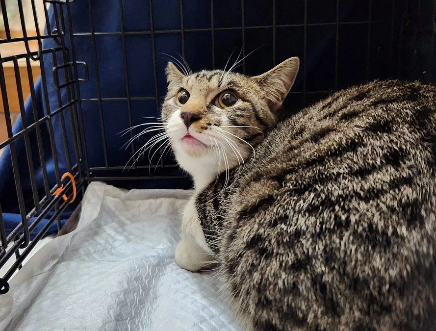 残り1日となりました！！