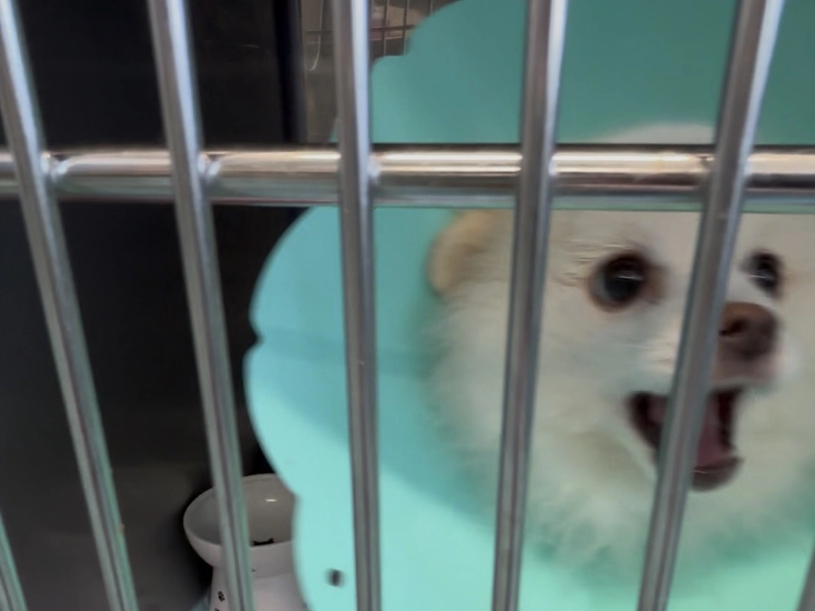 🏥面会禁止　容態悪化🏥