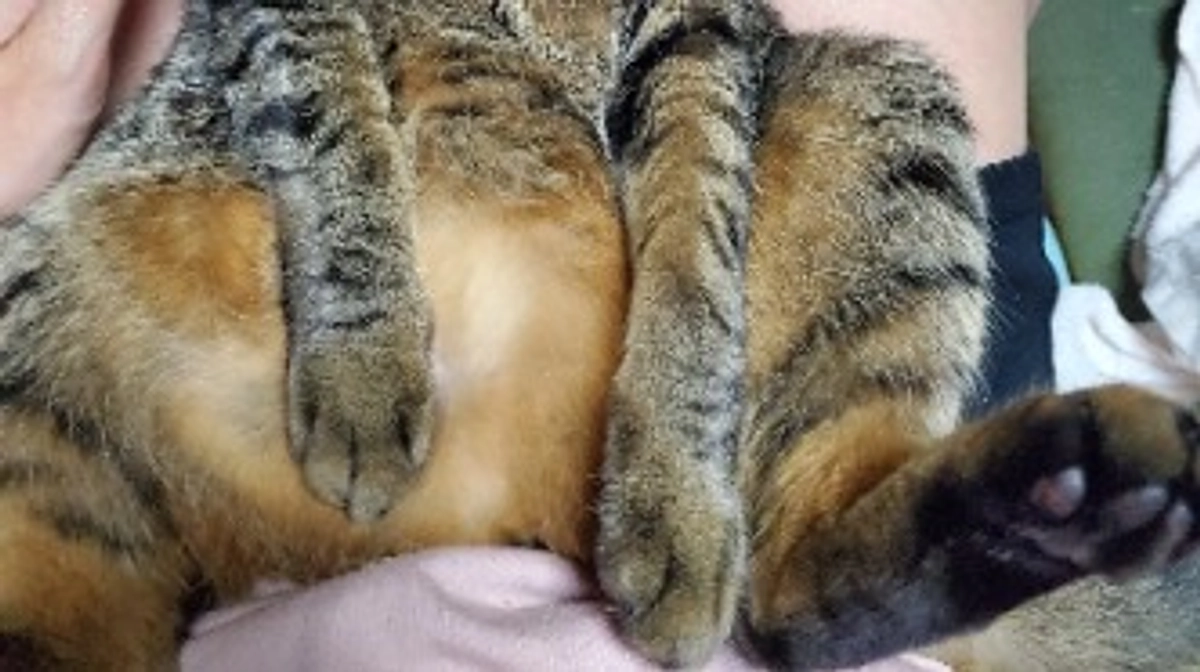 しゅーりょー。