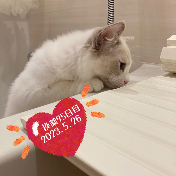 投薬７５日目(2023.5.26)