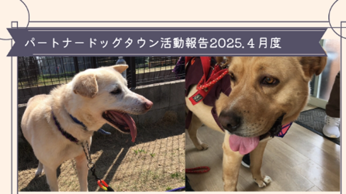 2025年４月度活動報告