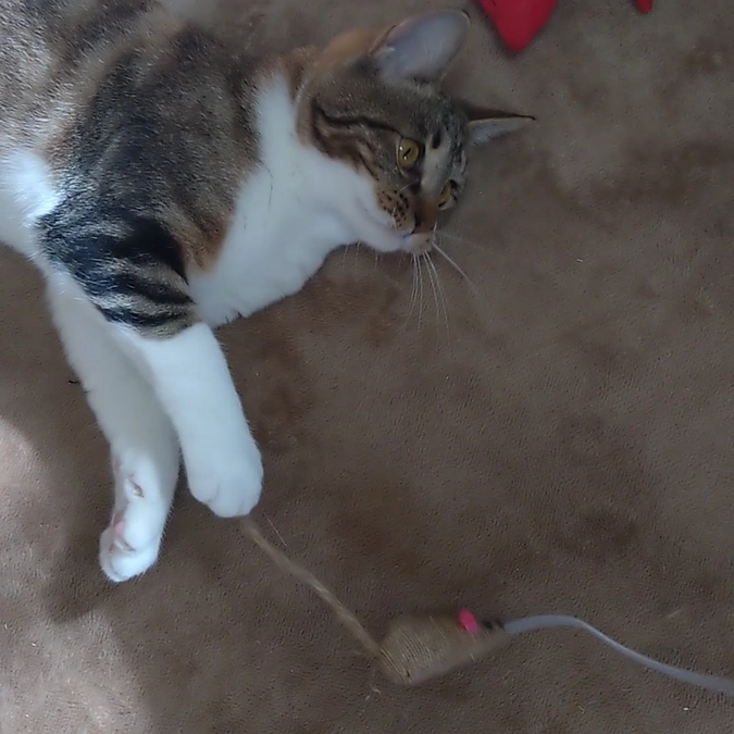 投薬完了後の検診へ行ってきました！