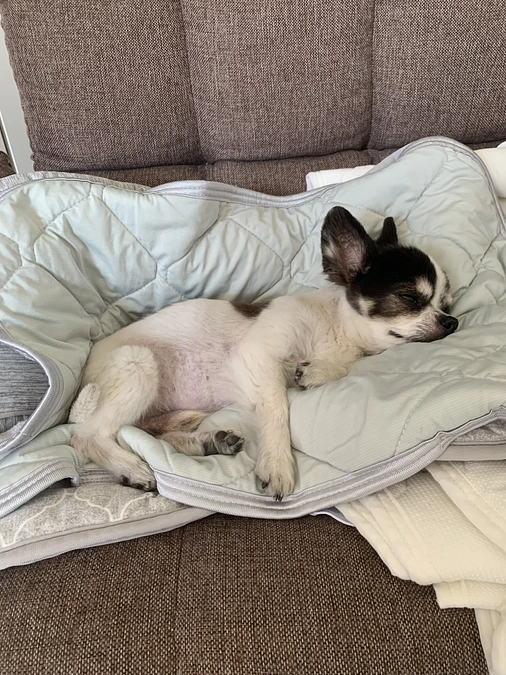 病院に行ってきました