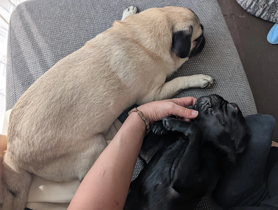 終了までのカウントダウン