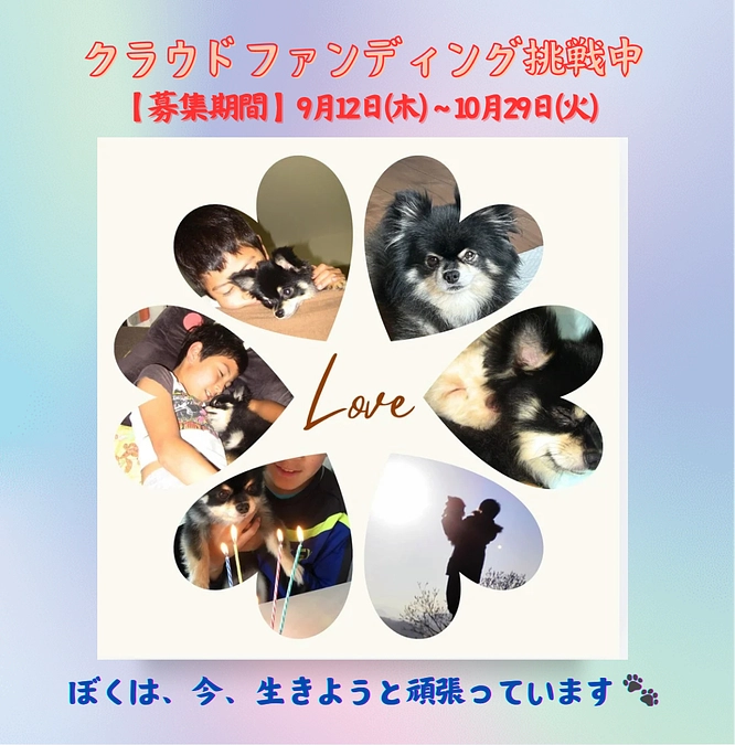 クラウドファンディング開始【本日で1週間】