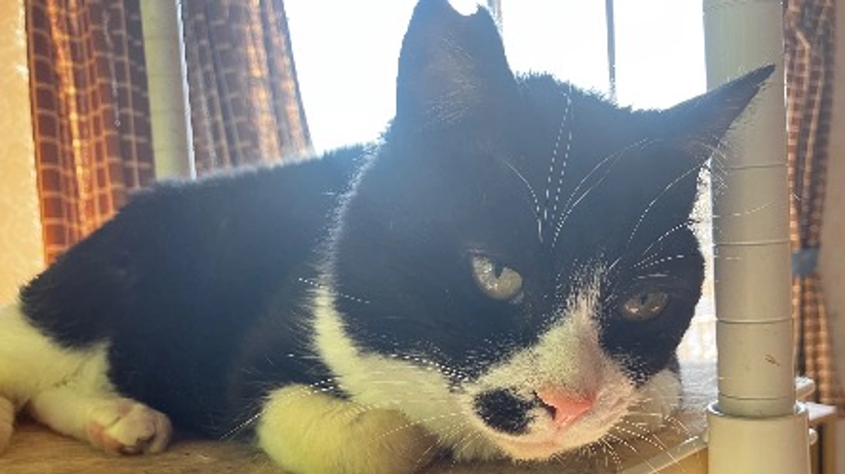 本日はお掃除の日