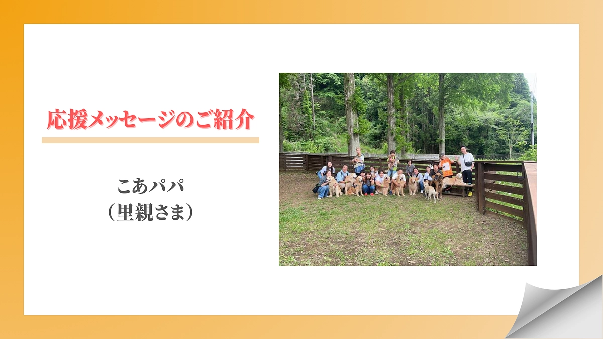【メッセージリレー#3】こあパパ（里親さま）
