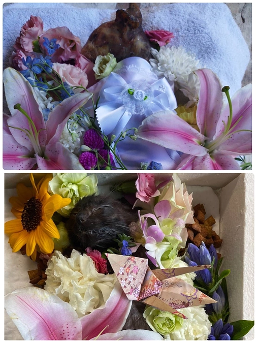 パピ、ポパイ、さよなら。