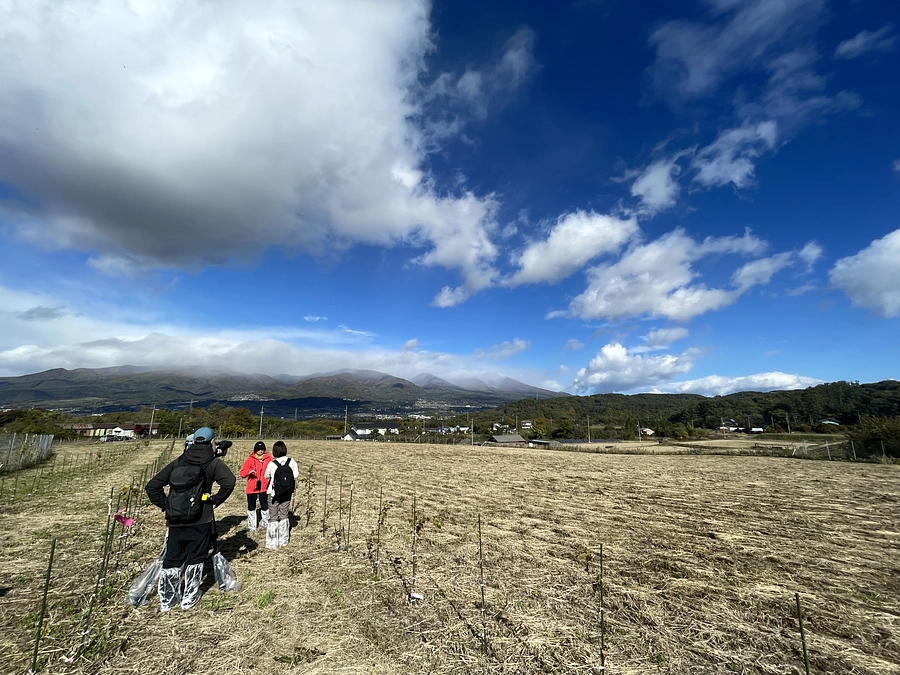 【お知らせ】JVA原木園プロジェクトが本日テレビ東京『WBS』で紹介される予定です！