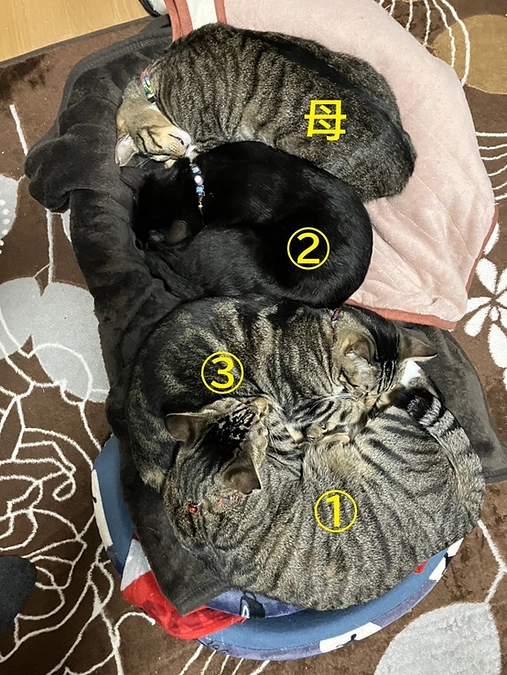 ご無沙汰しております（近況報告です）