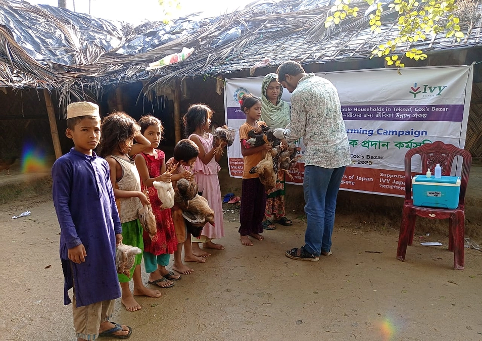 【バングラデシュ】鶏のワクチンキャンペーン実施中！
