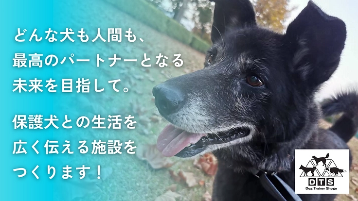 保護犬との生活を伝えられる、家庭犬への訓練施設をつくりたい！