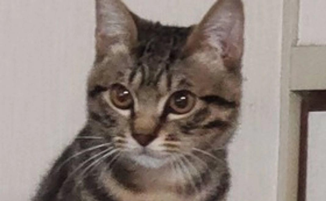 ご支援お願い致します‼️