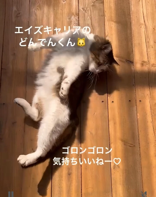 第一目標達成のお礼とネクストゴールについて