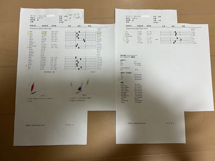 ＊定期検診の検査結果＊