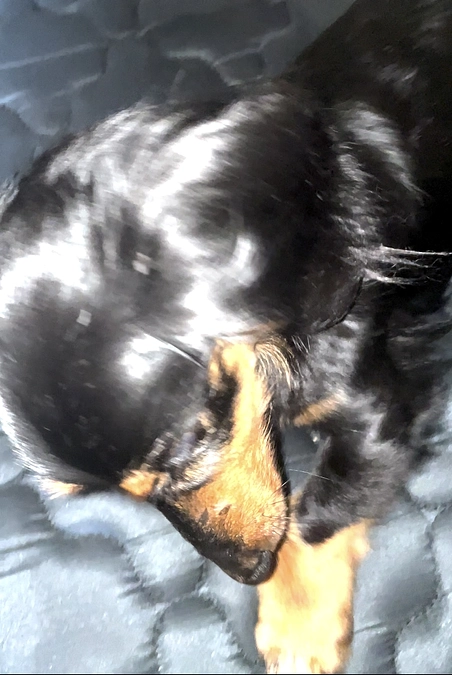 4月8日　　今日のクゥ