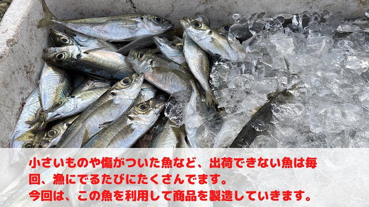「魚から地域活性化へ」をめざして～魚の加工品企画開発・販売をしたい 5枚目