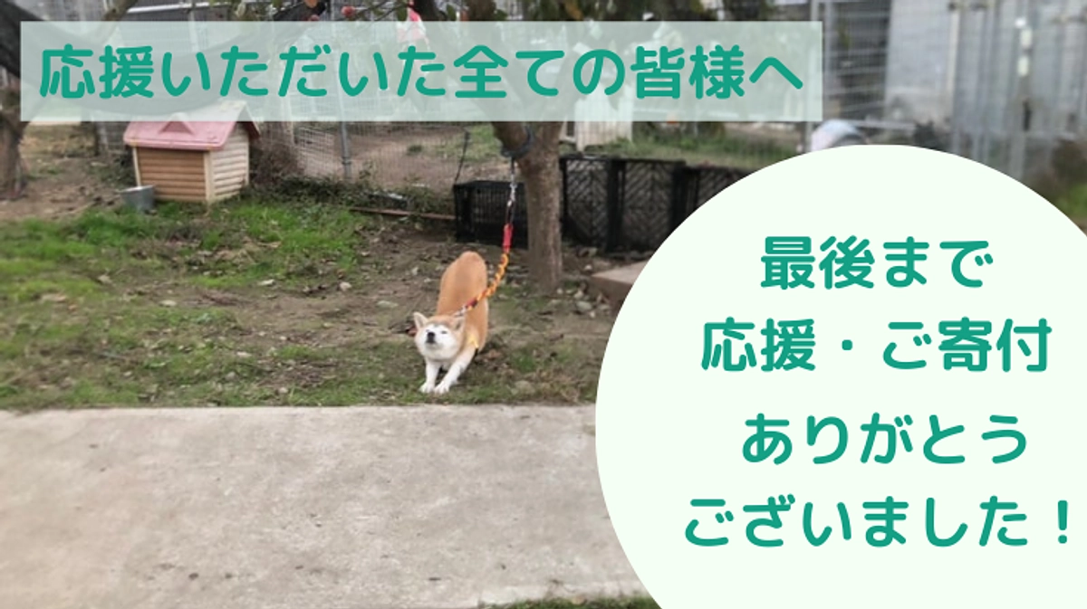 【第2弾プロジェクト終了】応援・ご寄付ありがとうございました