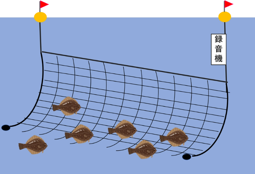 釧路調査の紹介