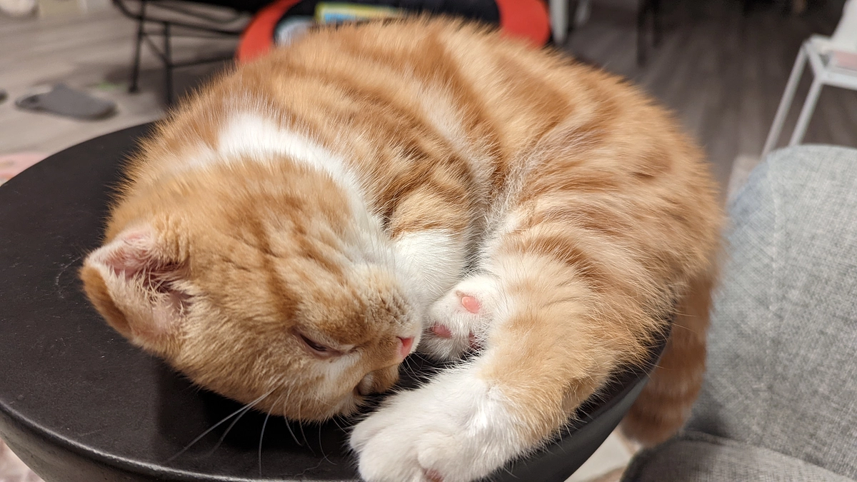 クラウドファンディングの代理支援について