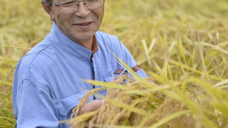 有機そば「会津のかおり」使用ロールケーキの加工所を作りたい