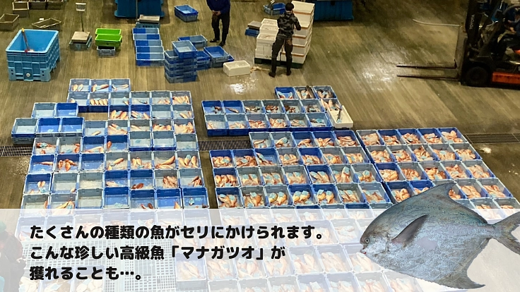 「魚から地域活性化へ」をめざして～魚の加工品企画開発・販売をしたい 4枚目