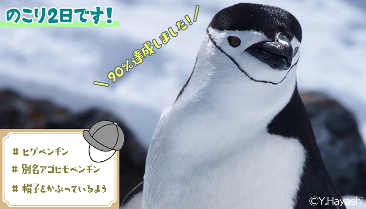 のこり2日となりました！